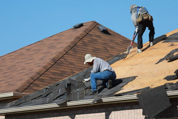 Best Roof Leak Repair  in Maryville, TN